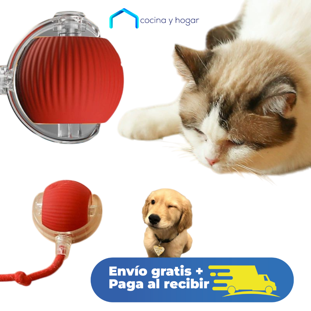 Pelota Recargable 360: Diversión sin límites para tu mascota
