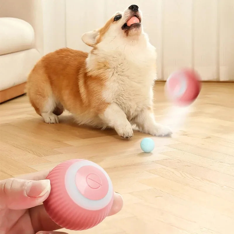 PetPlay Pro: La Pelota Inteligente que cuida la Salud de tu Mascota