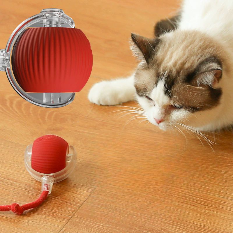 Pelota Recargable 360: Diversión sin límites para tu mascota