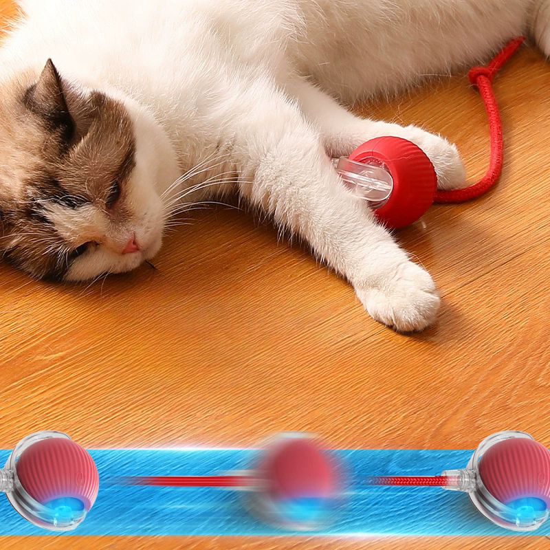 Pelota Recargable 360: Diversión sin límites para tu mascota