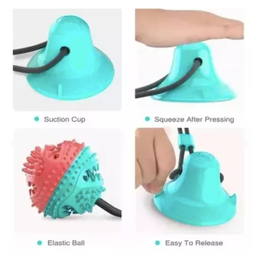 Combo Pelota Canplay + GPS: Diversión y Seguridad para tu Perro