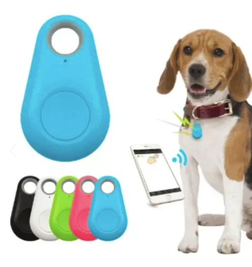 Combo Pelota Canplay + GPS: Diversión y Seguridad para tu Perro