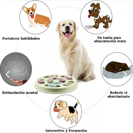 Comedor interactivo de Mascotas