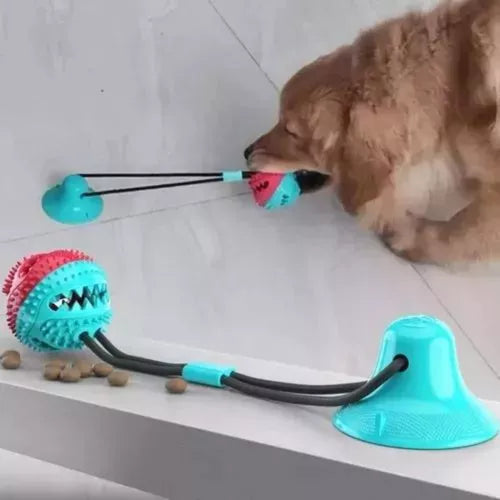 Combo Pelota Canplay + GPS: Diversión y Seguridad para tu Perro