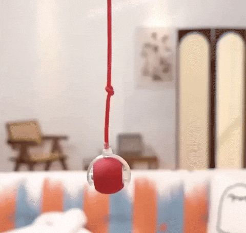 Pelota Recargable 360: Diversión sin límites para tu mascota