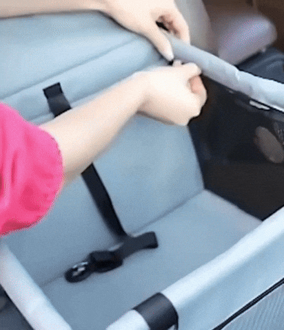 Asiento Seguro para Mascotas