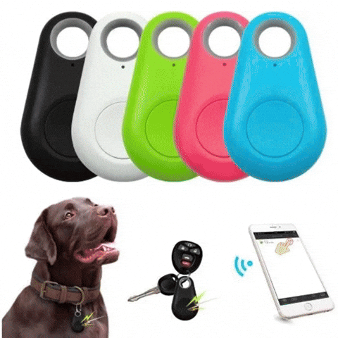 Combo Pelota Canplay + GPS: Diversión y Seguridad para tu Perro