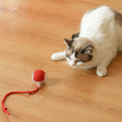 Pelota Recargable 360: Diversión sin límites para tu mascota