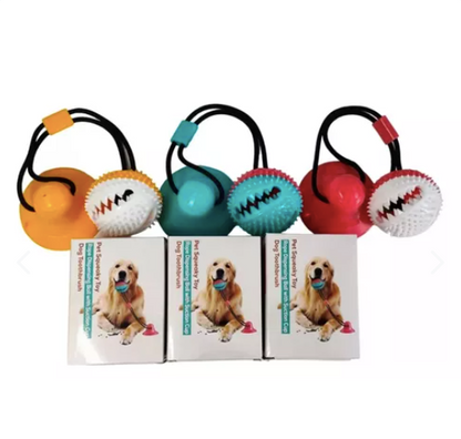 Combo Pelota Canplay + GPS: Diversión y Seguridad para tu Perro