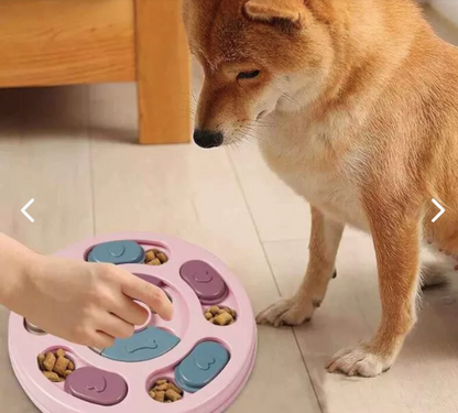 Comedor interactivo de Mascotas