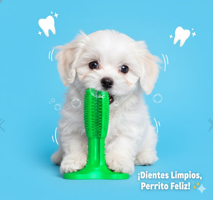 Juguete quita sarro para perros