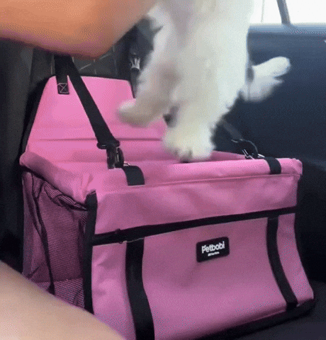 Asiento Seguro para Mascotas